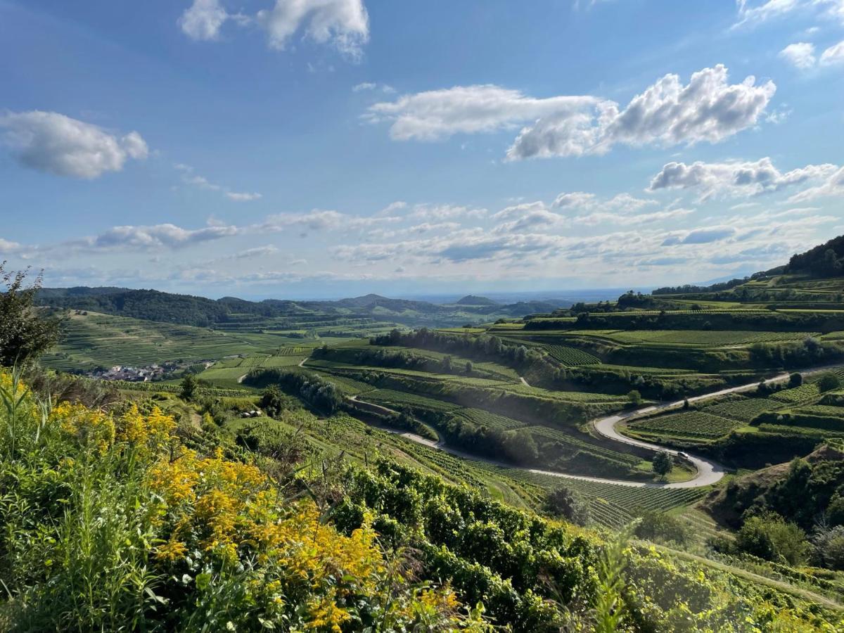 フォグツブルクWeingut & Strausswirtschaft Vogelアパートメント エクステリア 写真