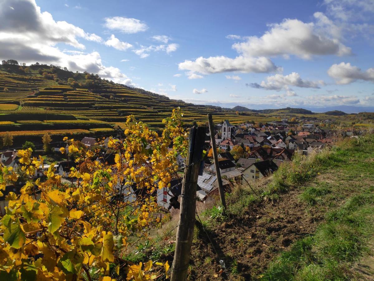 フォグツブルクWeingut & Strausswirtschaft Vogelアパートメント エクステリア 写真