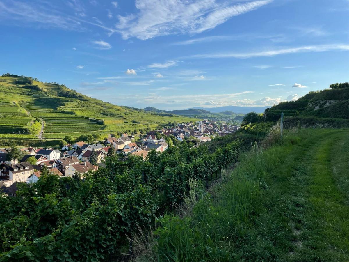 フォグツブルクWeingut & Strausswirtschaft Vogelアパートメント エクステリア 写真