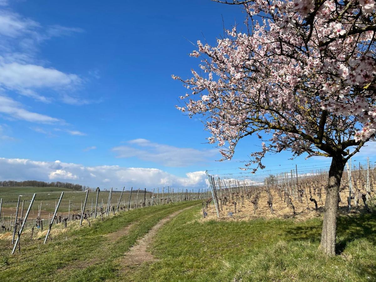 フォグツブルクWeingut & Strausswirtschaft Vogelアパートメント エクステリア 写真