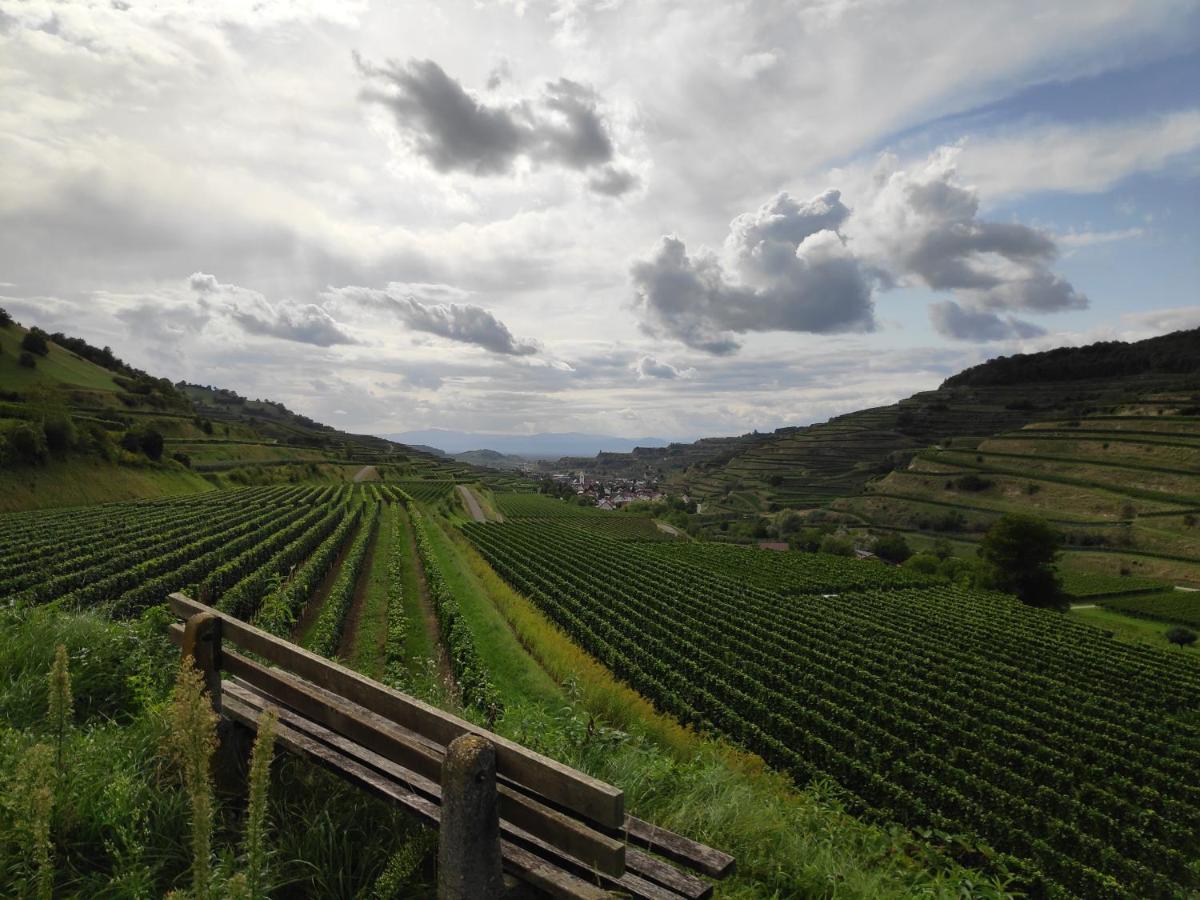 フォグツブルクWeingut & Strausswirtschaft Vogelアパートメント エクステリア 写真