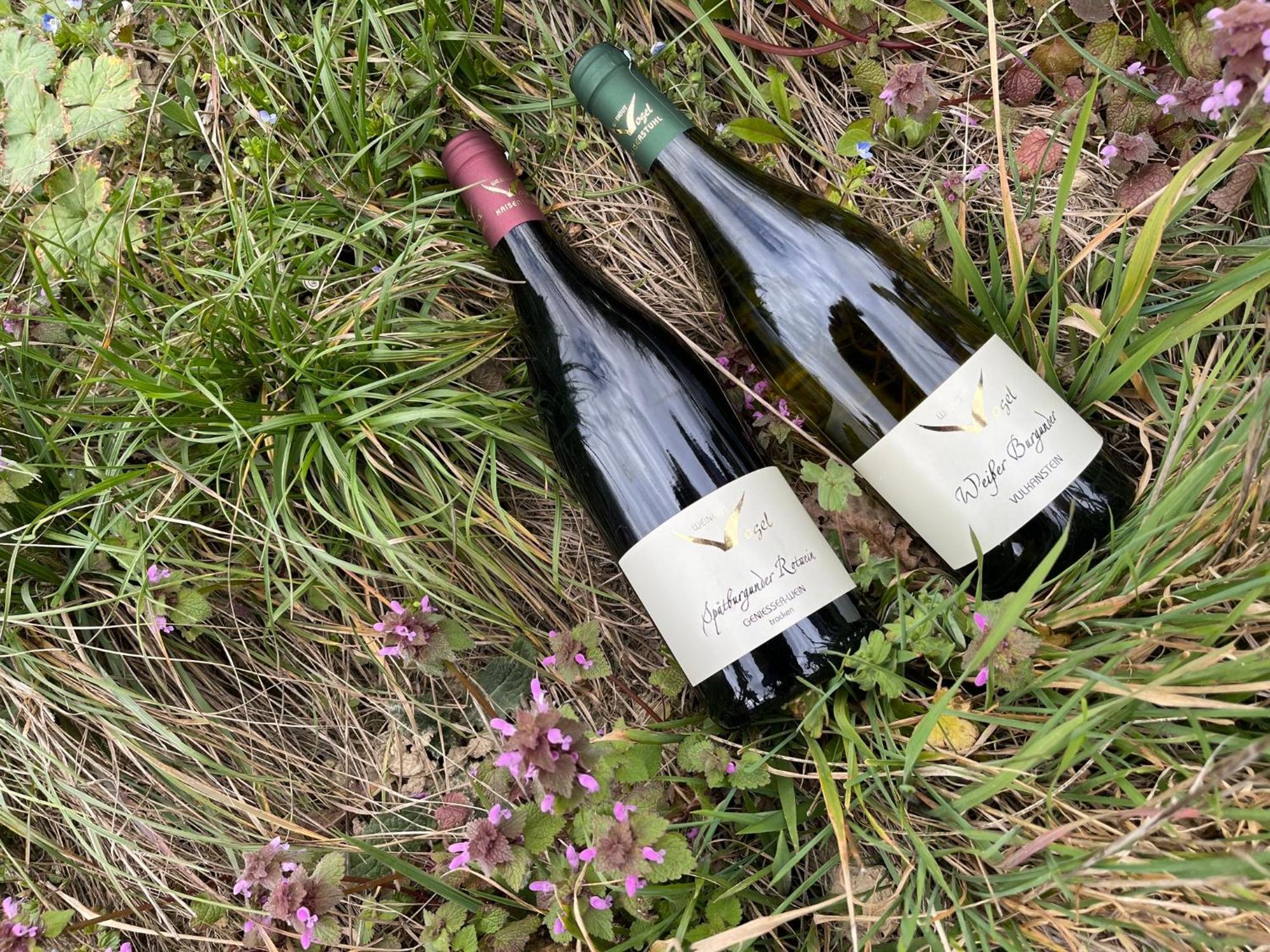 フォグツブルクWeingut & Strausswirtschaft Vogelアパートメント エクステリア 写真